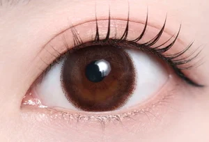 エルモブラウン_スタッフ