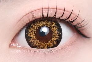 ハッピーブラウン_スタッフ