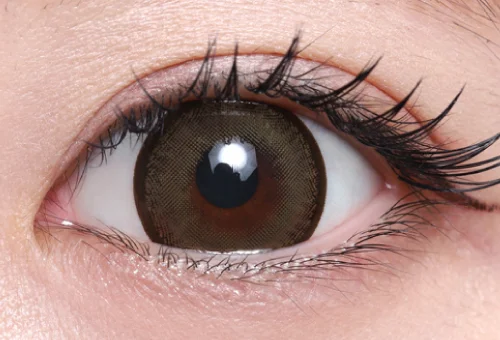 レーシーオリーブ片目着画