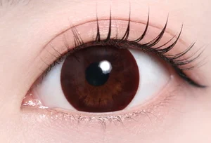 ナチュラルブラック 14.0mm_スタッフ