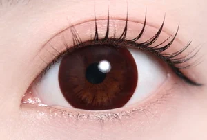 ナチュラルブラック 14.5mm_スタッフ