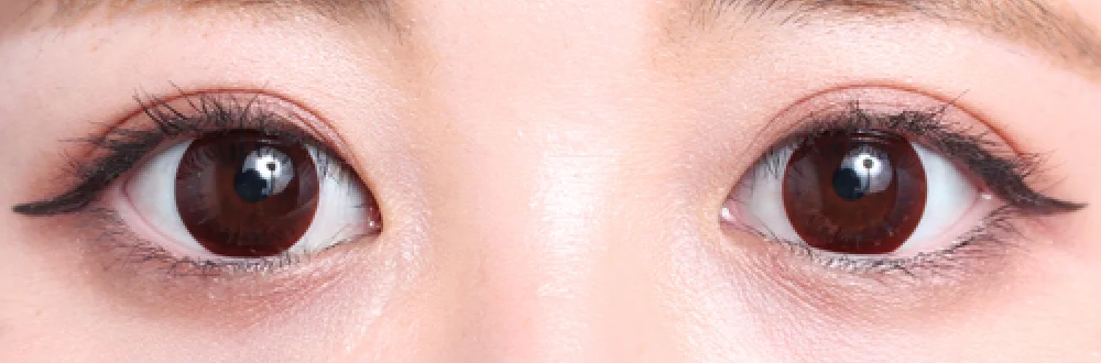 ナチュラルブラック 14.5mm両目着画