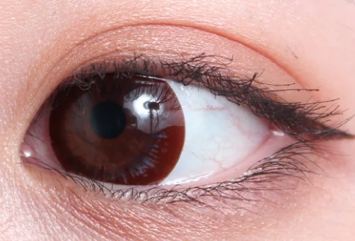 ナチュラルブラック 14.5mm片目着画