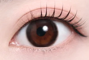 ピュールブラック_スタッフ