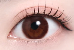 ピュールブラウン_スタッフ