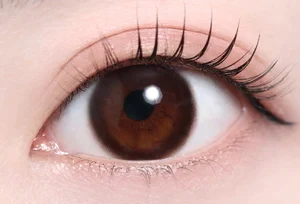 ピュールモカ_スタッフ