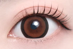 シェルミーブラウン_スタッフ