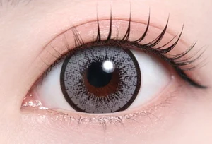 ティアリーグレー_スタッフ