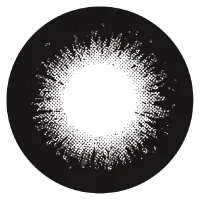 ベアブラック_レンズ