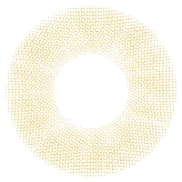 モスブラウン（1DAY・低含水）_レンズ