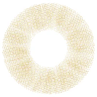 モスブラウン（1DAY）_レンズ