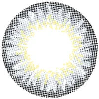 ディ.アモールグレー_レンズ