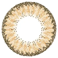 クラッシーブラウン_レンズ