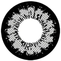 ダーリングレー_レンズ