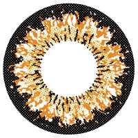 ハッピーブラウン_レンズ