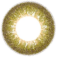 モカオリーブ_レンズ