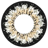 ピースグレー_レンズ