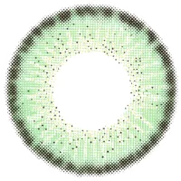 レネルライトグリーン_レンズ