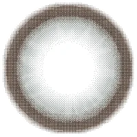 リズグレー_レンズ