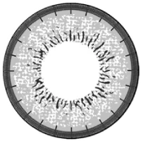 ティアリーグレー_レンズ