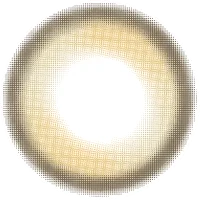 ツイントブラウン_レンズ