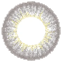 ホイップグレー_レンズ