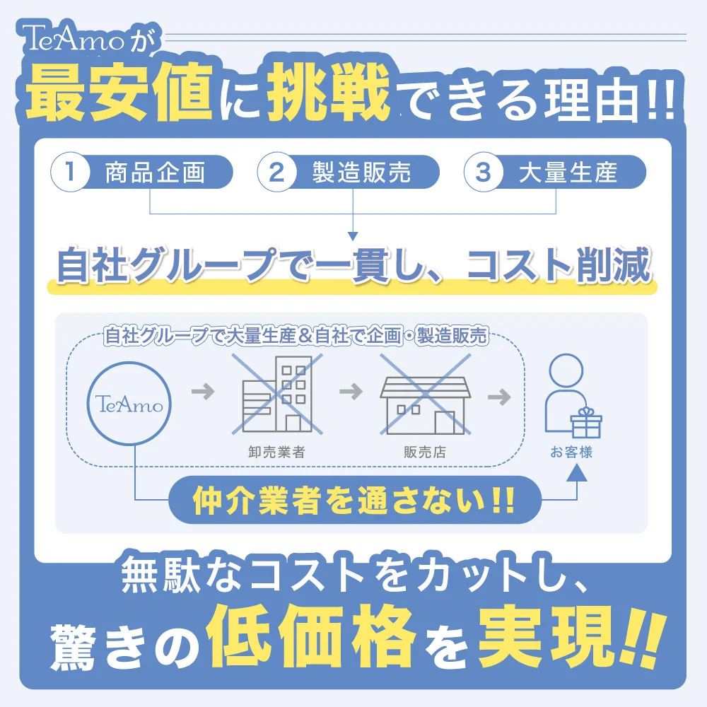 TeAmo CLEAR 2WEEK 低コストの説明図