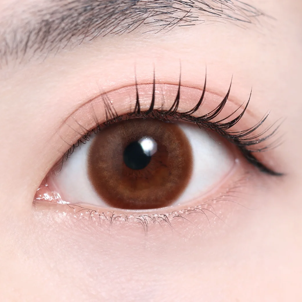 エメブラウン（低含水）の着画