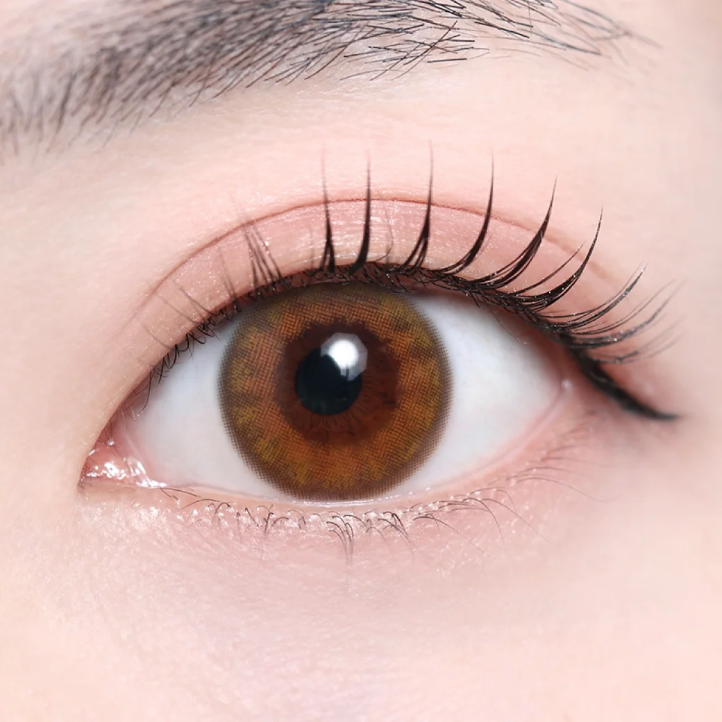 アルナヘーゼルの着画