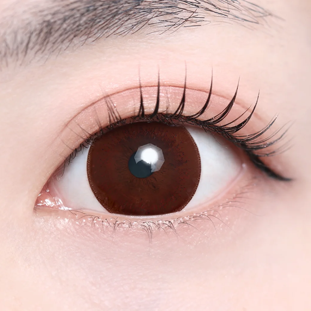 ベアブラウンの着画