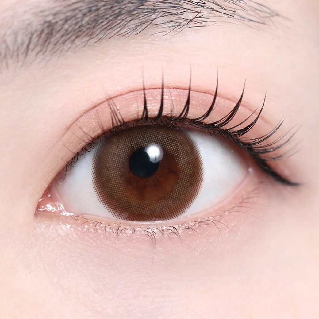 ビアナブラウン（低含水）の着画