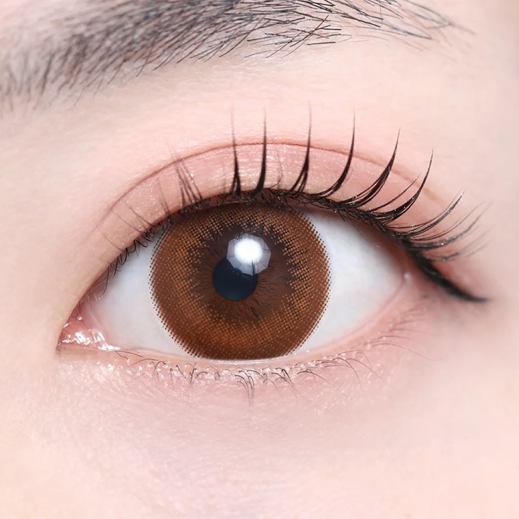 ブラウンの着画