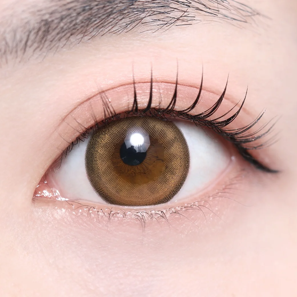 シェリモベージュ（低含水）の着画