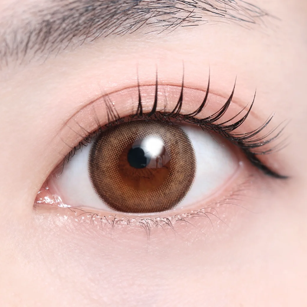 フルールラテ（低含水）の着画