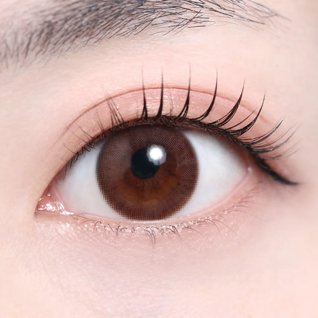 フォンダショコラ（低含水）の着画