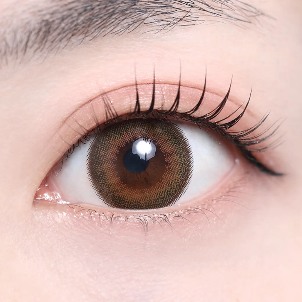 キウイブラウンの着画