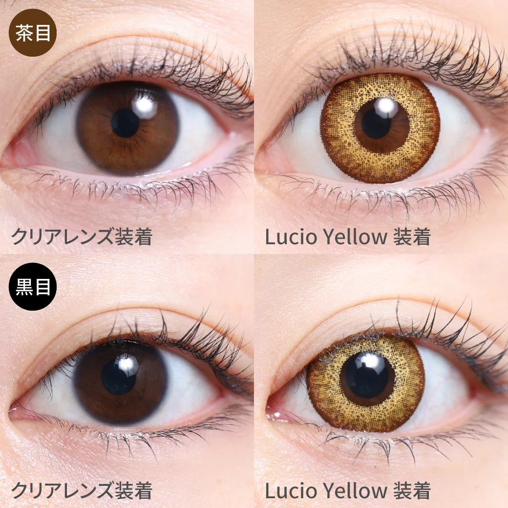 Lucio Yellow ルチオイエロー茶目黒目着用画像 暖色系のカラーリングで高発色なのにメイクに合わせやすいコスプレ向けカラコン。｜カラコン ワンデー