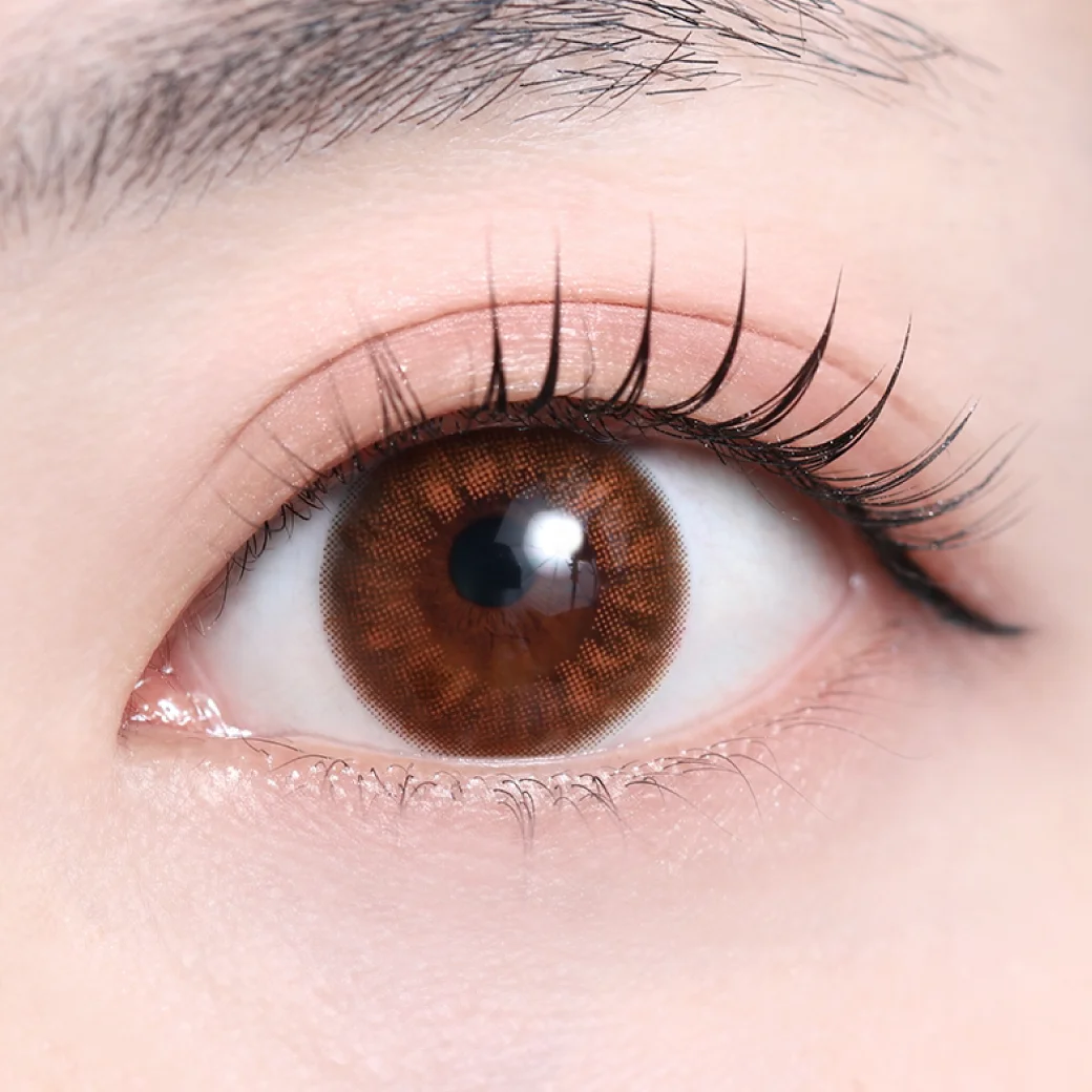 マリーアブラウンの着画