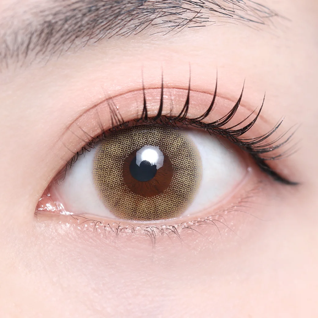 モスブラウン（1DAY）の着画