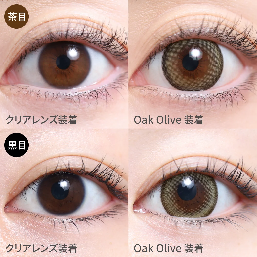 オークオリーブ茶目黒目着用画像  大人な甘さのこなれオリーブカラーにちゅるんデザインで納得のモテ瞳に｜カラコン ワンデー