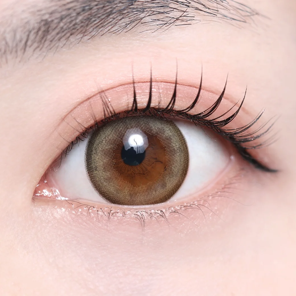 オークオリーブ（低含水）の着画