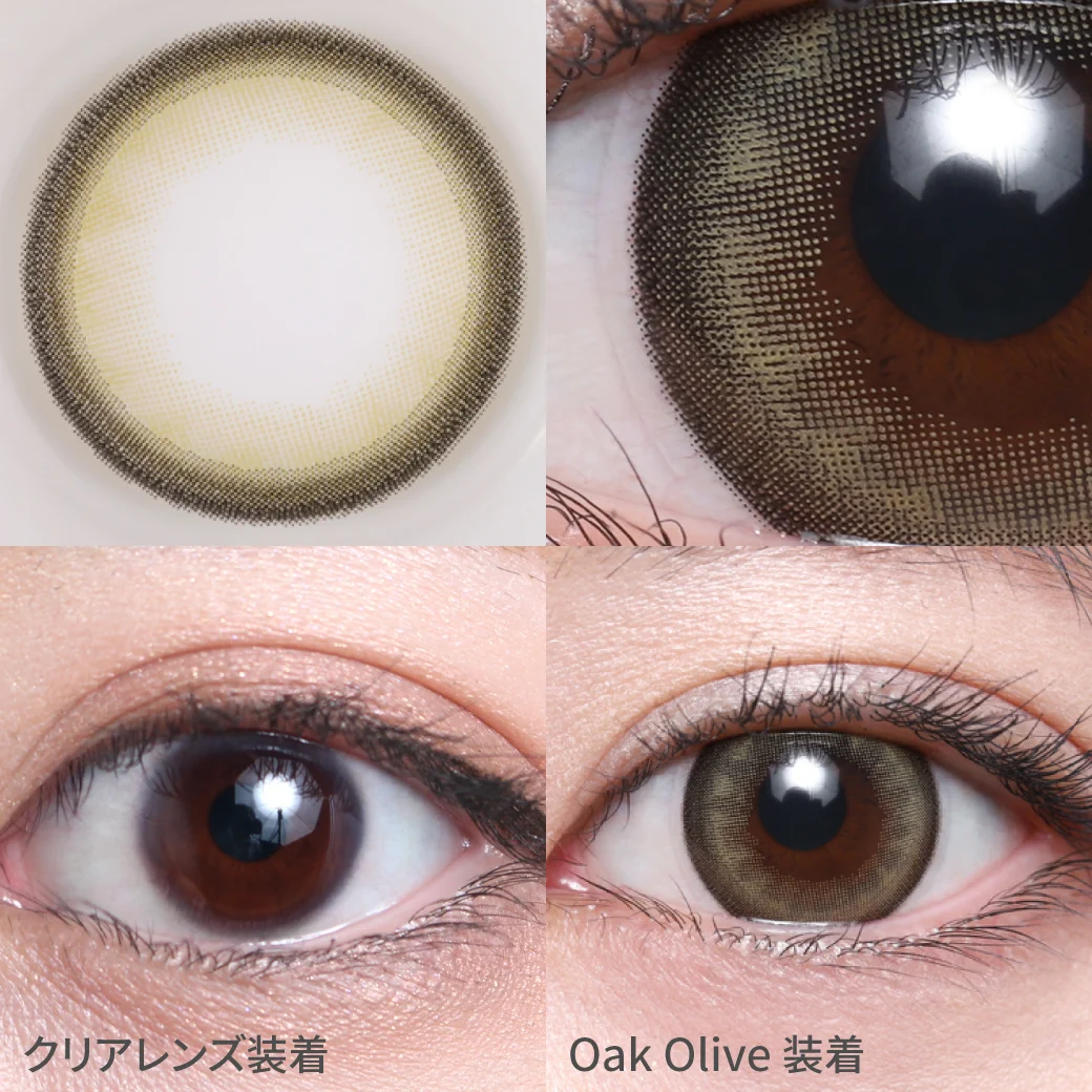 オークオリーブ着画サムネ