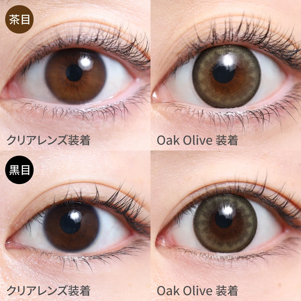 オークオリーブ茶目黒目着用画像 大人な甘さのこなれオリーブカラーにちゅるんデザインで納得のモテ瞳に｜カラコン ワンデー