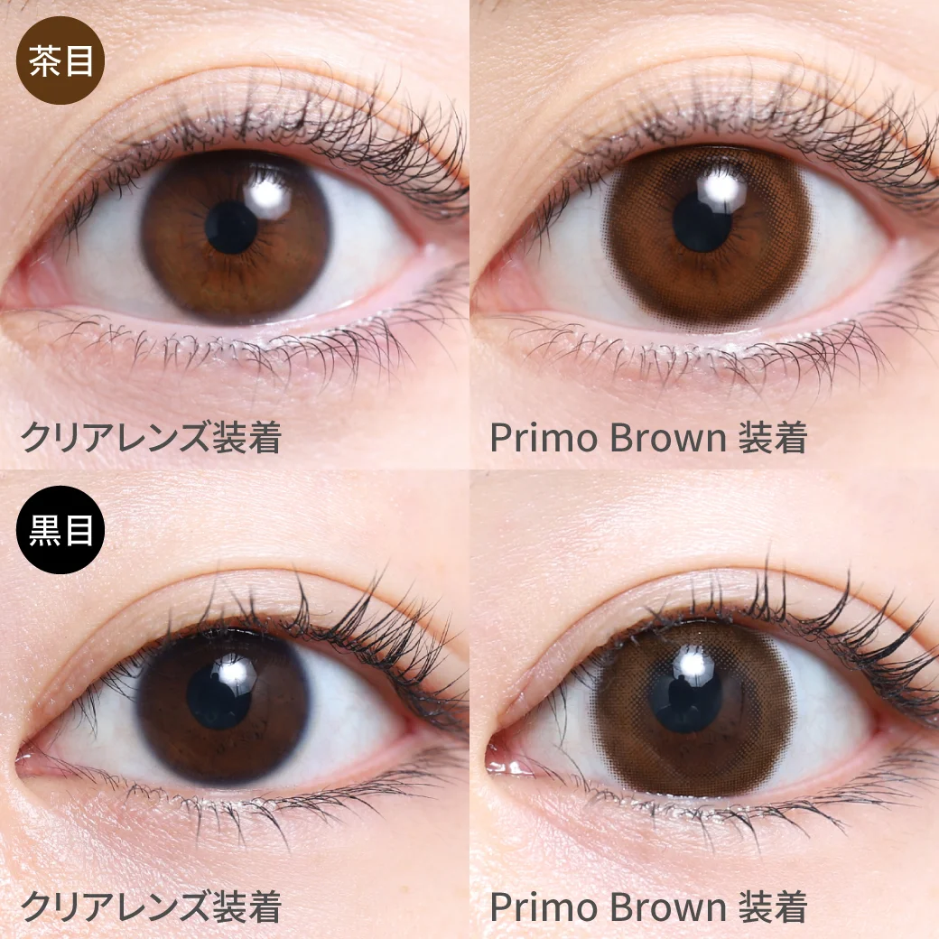 プリモブラウン茶目黒目着用画像 ふわっと発色で裸眼風大人キレイEYE｜カラコン ワンデー