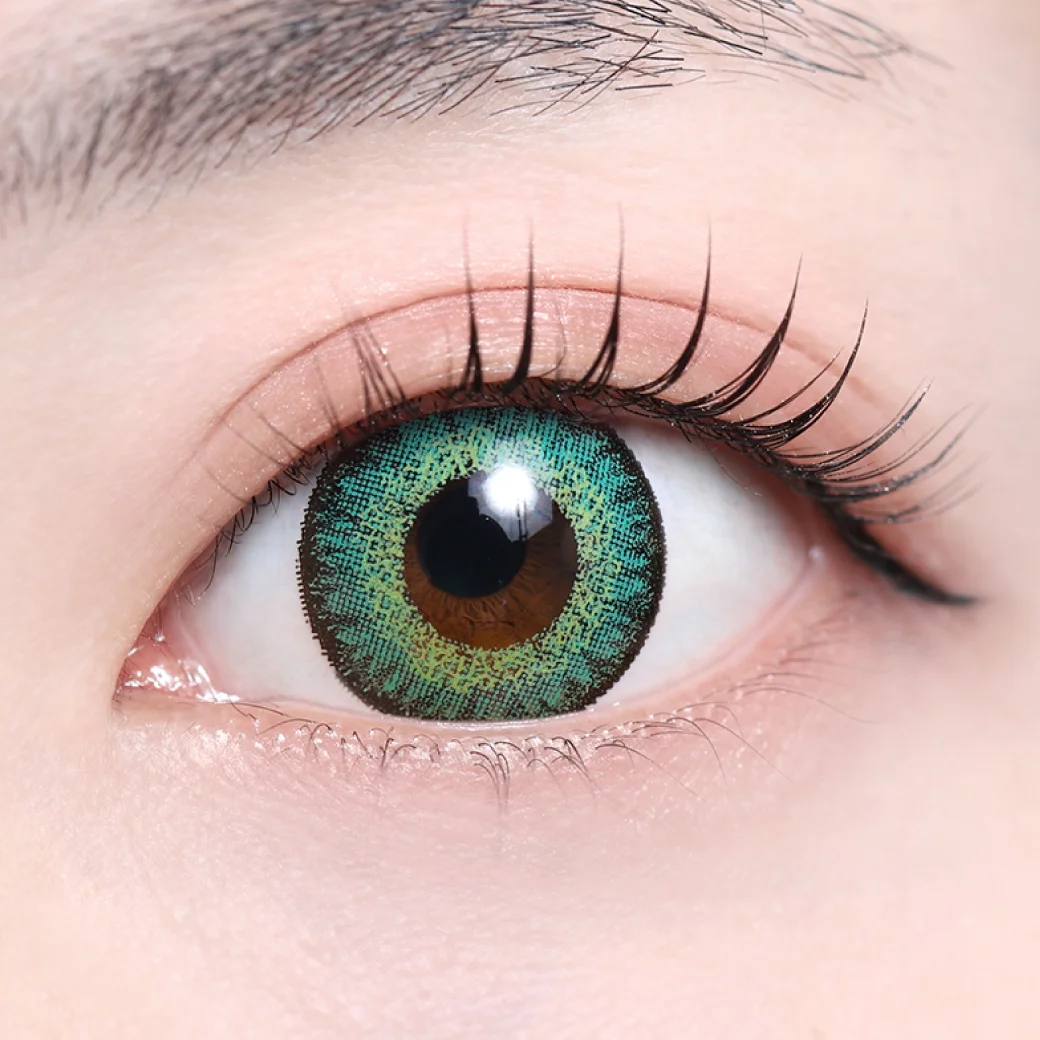 ラゼグリーンの着画