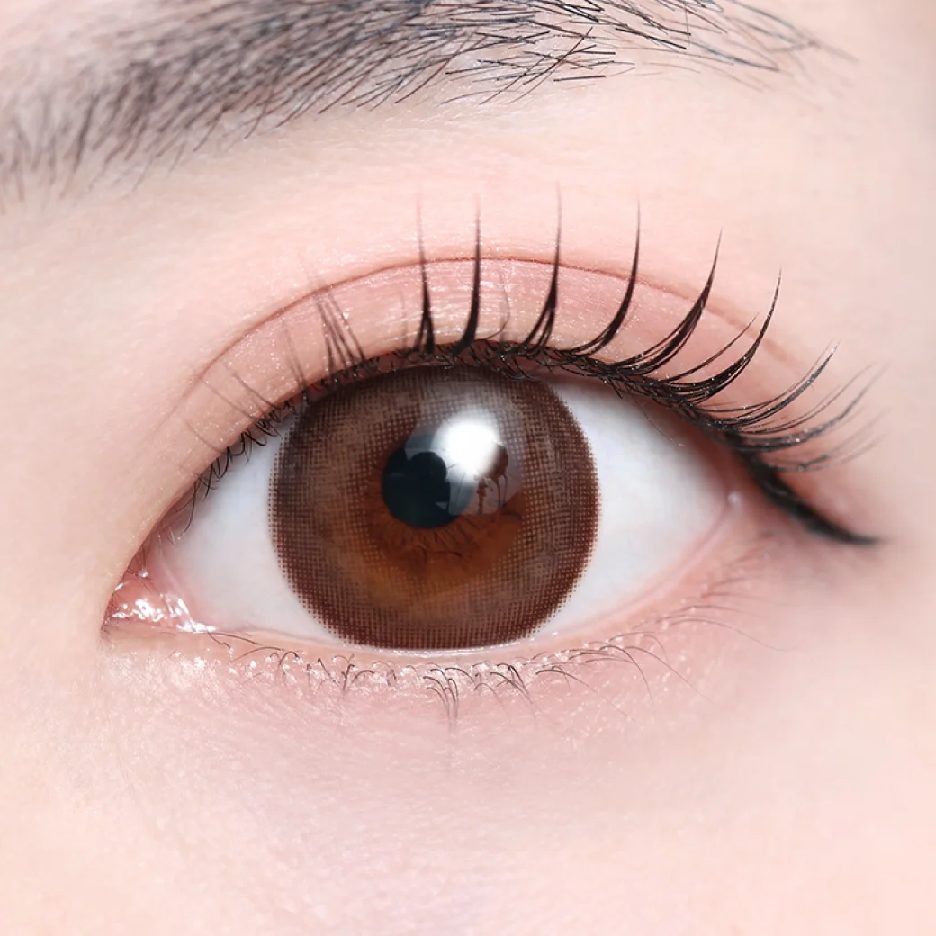 スウィートノアール（低含水）の着画