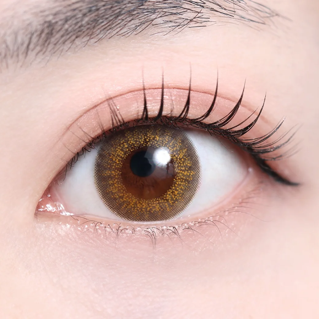 ヴィヴィアナブラウン（低含水）の着画