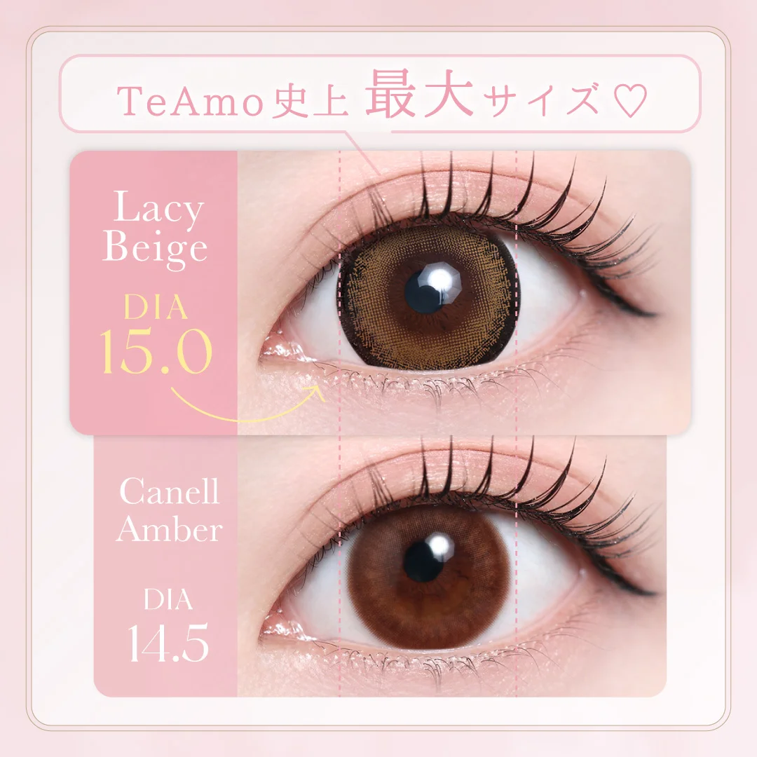 TeAmo1DAY ジェリア新色2