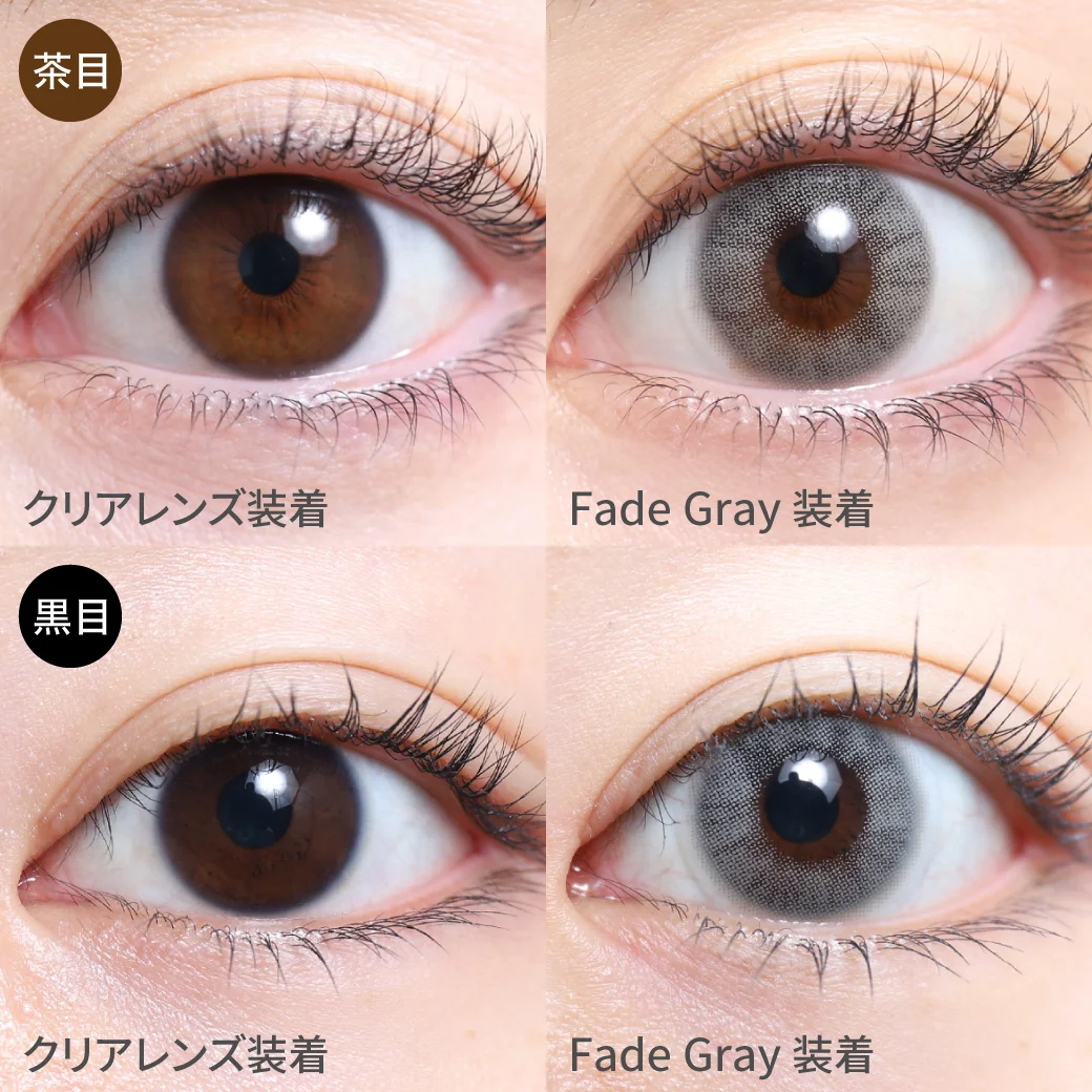 フェードグレー茶目黒目着用画像 クールでシックな美発色。ハイトーングレーで自然な色素薄い系の瞳に