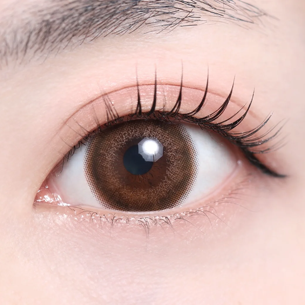 フェーナモカの着画